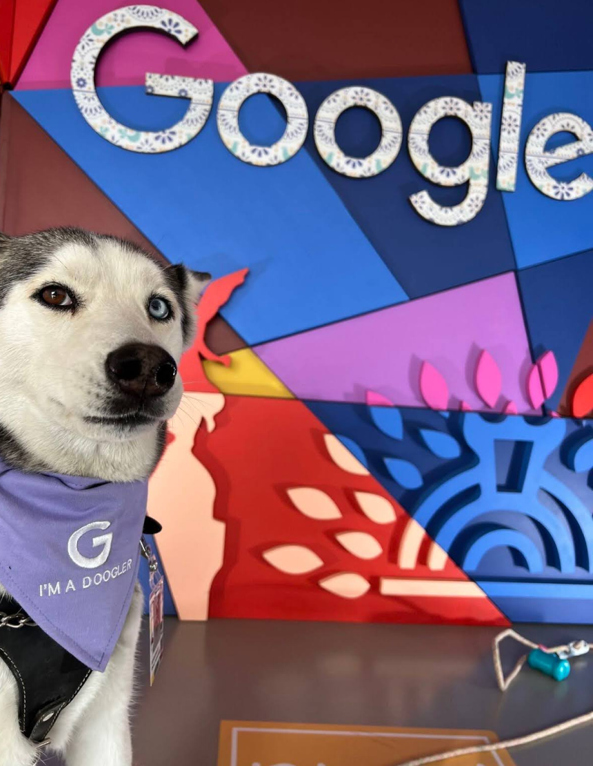 Собаки в офисах Google