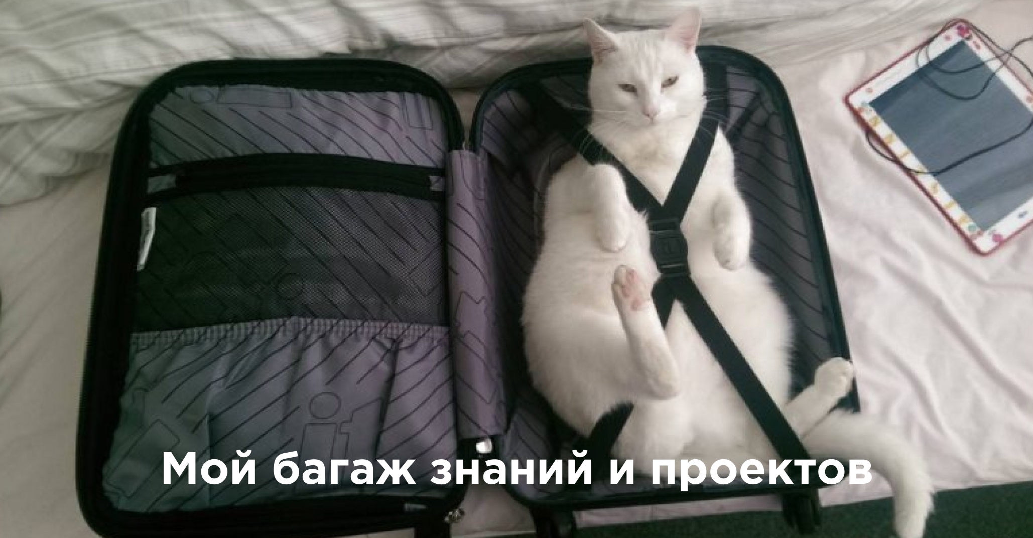 Мой багаж знаний