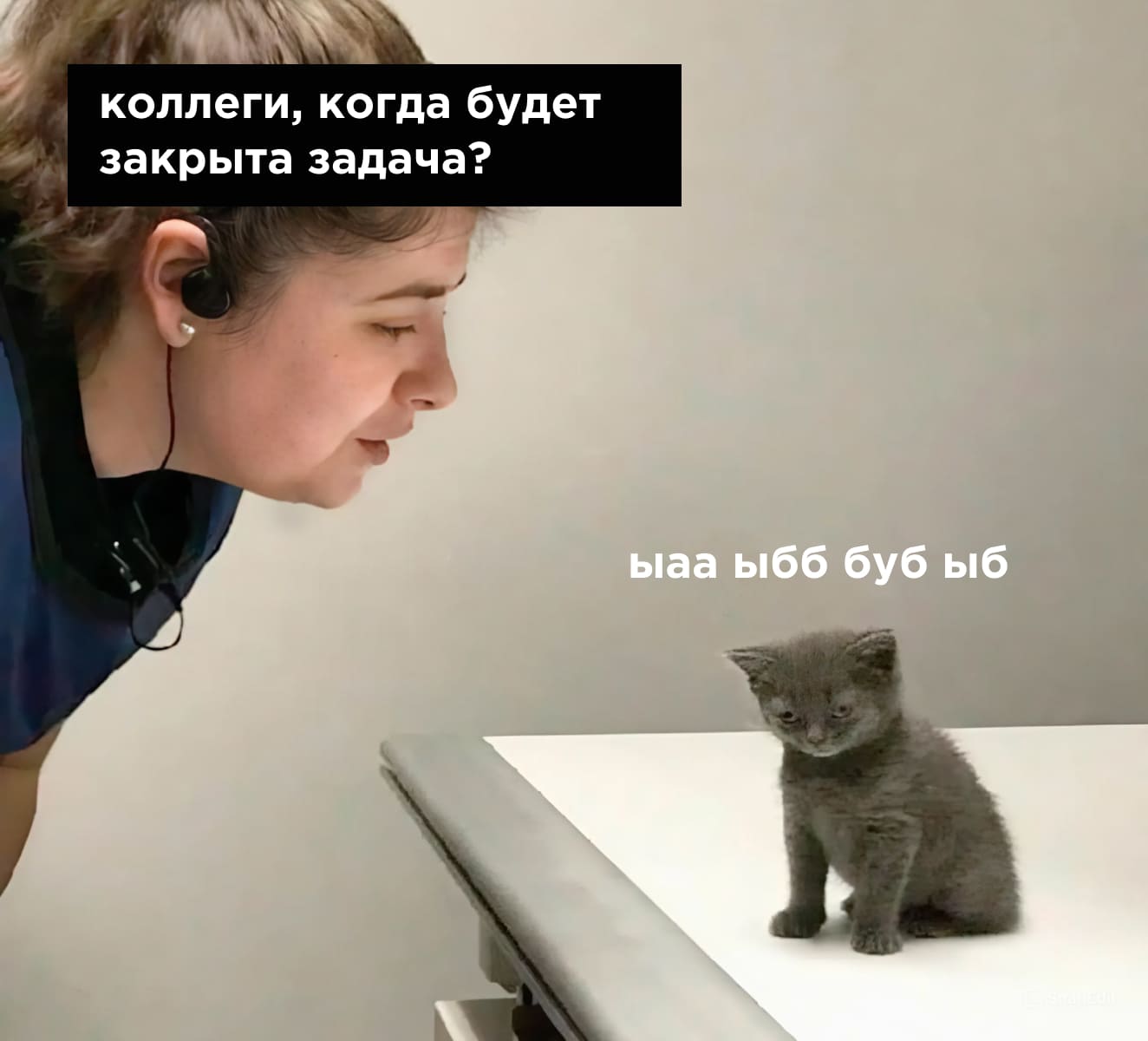 Межфункциональное взаимодействие мем